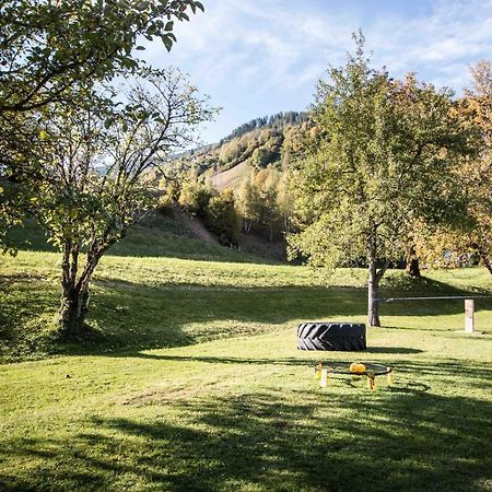 Kraftquelle Herrnmuhle Bramberg am Wildkogel Exteriér fotografie