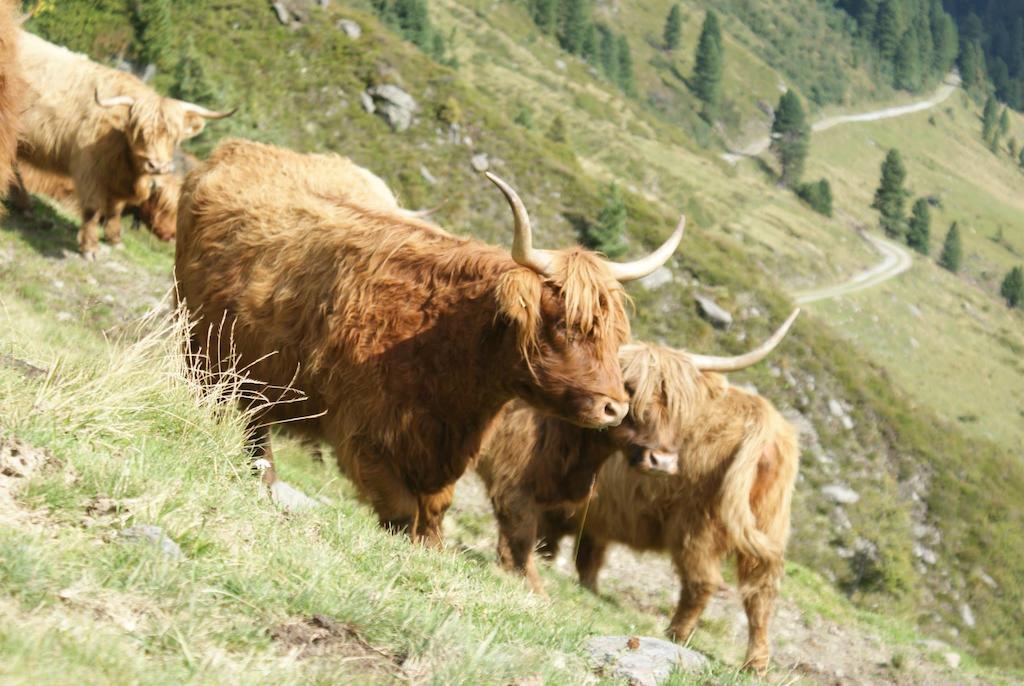 Kraftquelle Herrnmuhle Bramberg am Wildkogel Exteriér fotografie